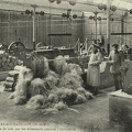 Fabrication de la fibre de bois par les Allemands lors de l'Occupation