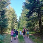 IMG-20250618-WA0019