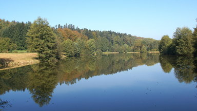 Etang au mois d'octobre